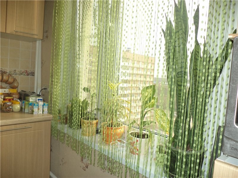 шторы на кухонное окно фото